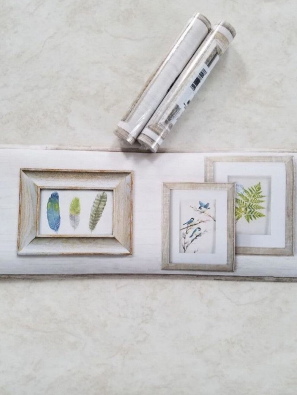 Wallpaper Border Feathers Birds & Ferns